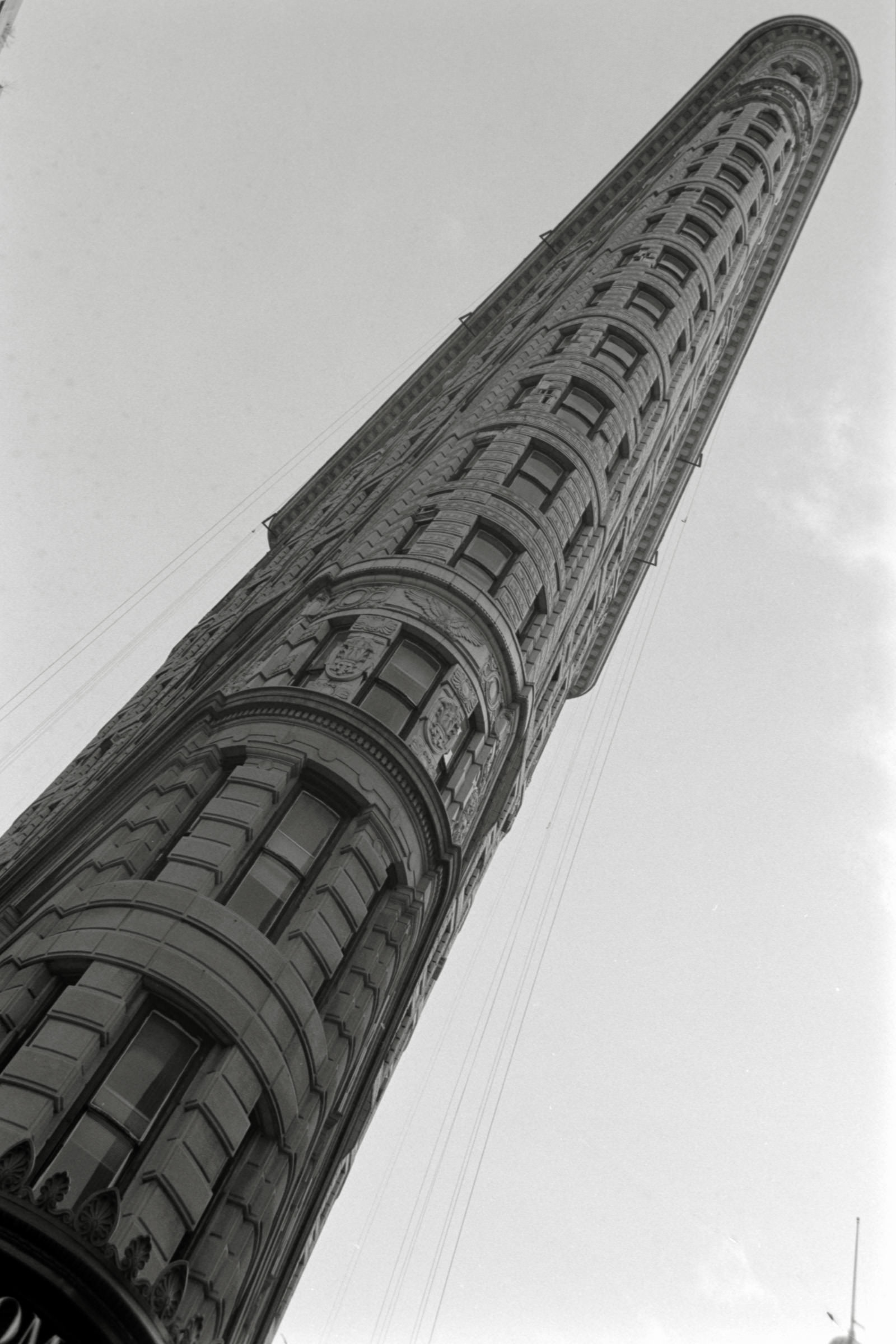 AHP F1995 04 008 sc240817 img25 NLP